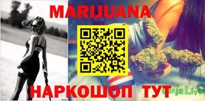 гидра Краснознаменск